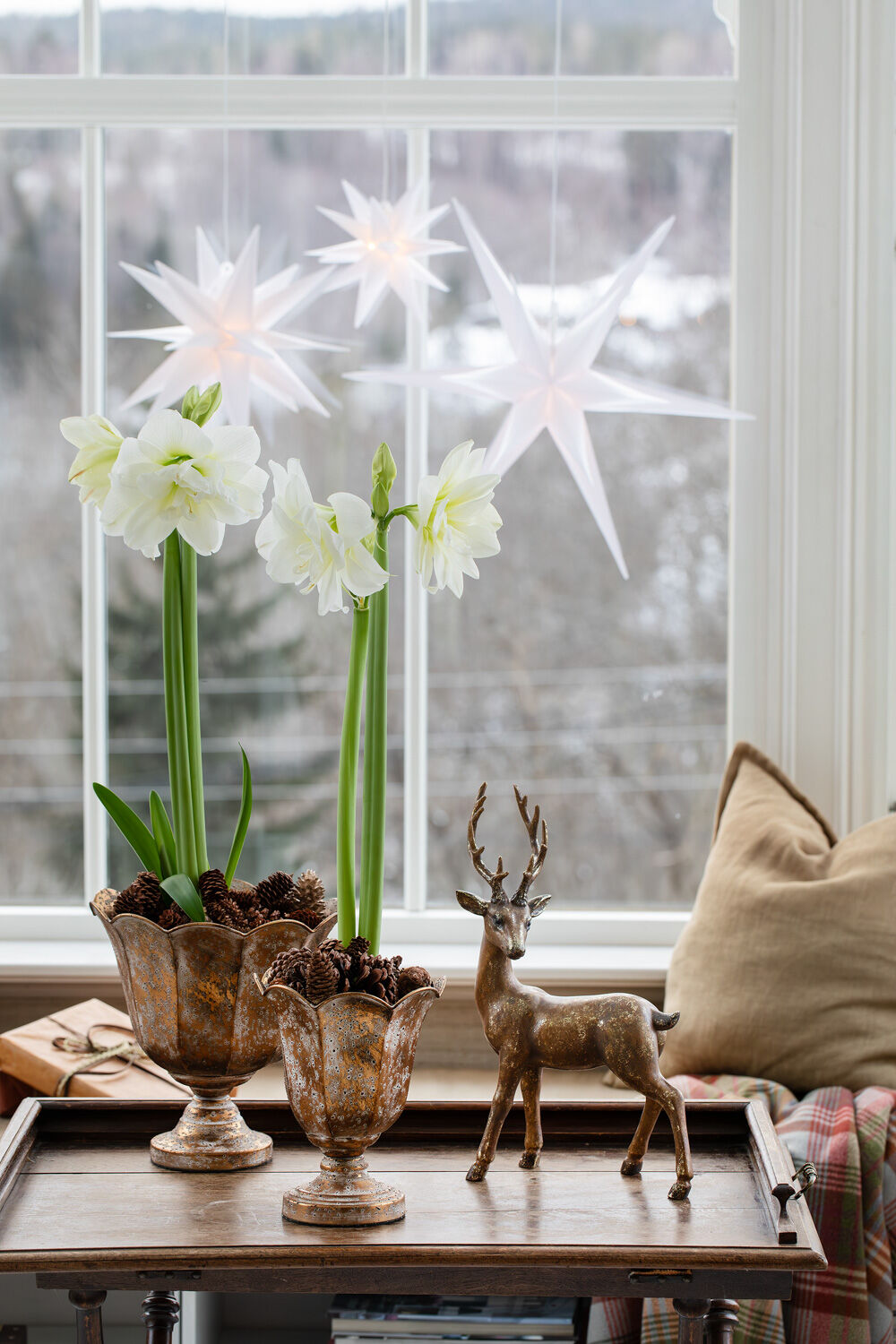 Hvite amaryllis l&oslash;k
